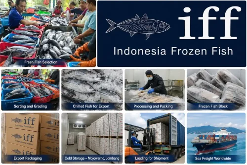 fresh fish exporters in Indonesia