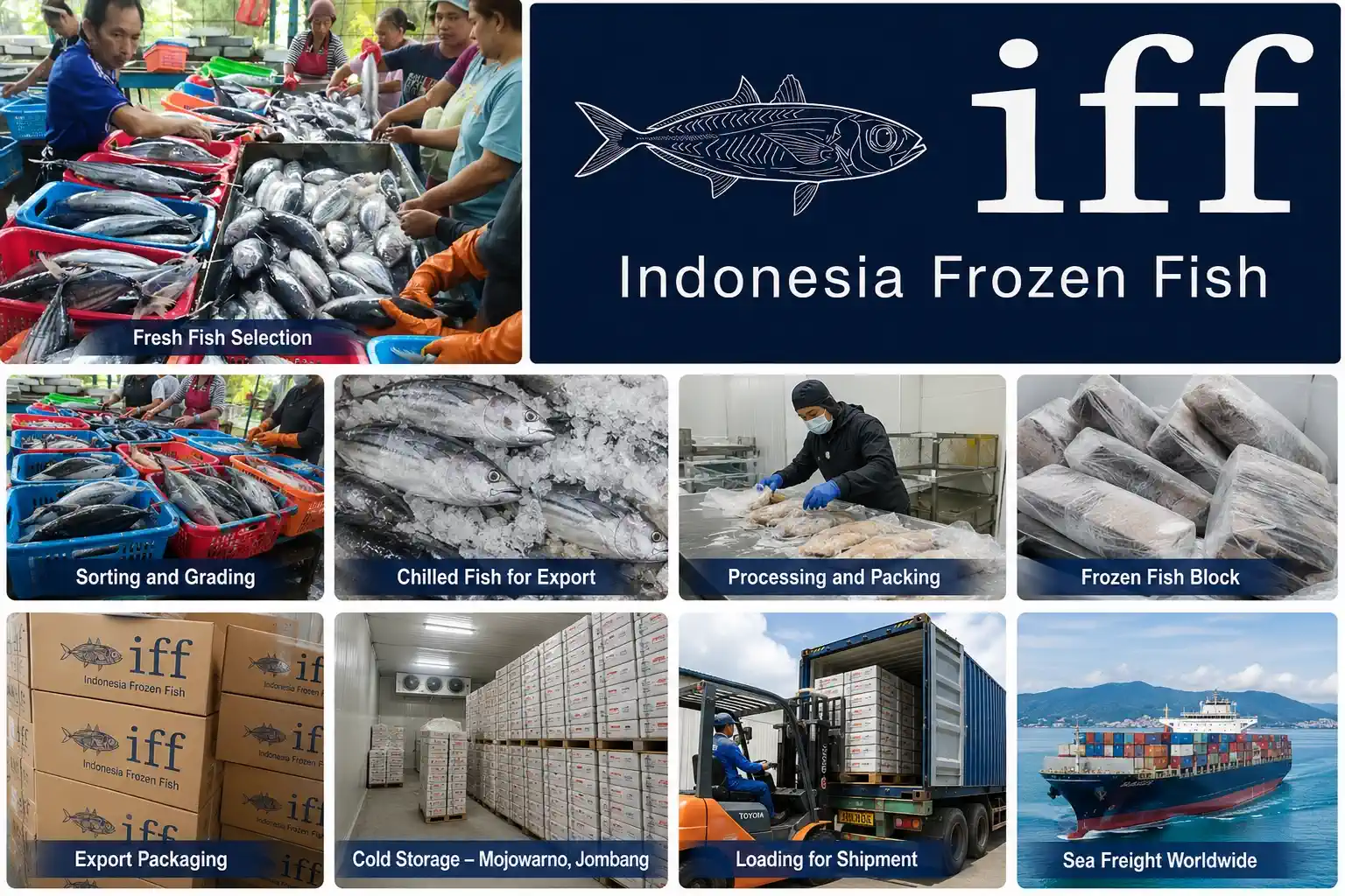 fresh fish exporters in Indonesia